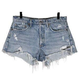 Agolde Size 27 Parker Cutoff Distressed Denim Shorts in Swapmeet